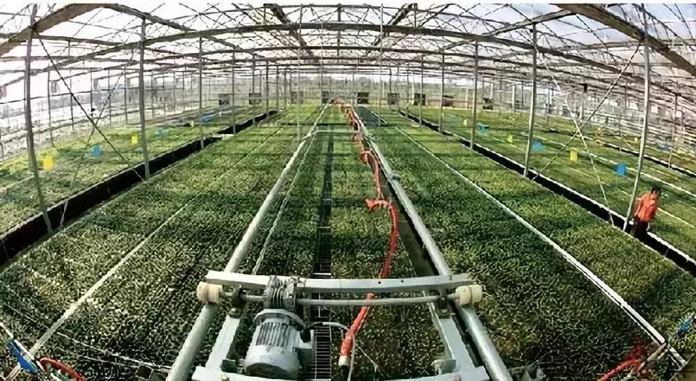 1655810858776356.png 1655810858776356.png