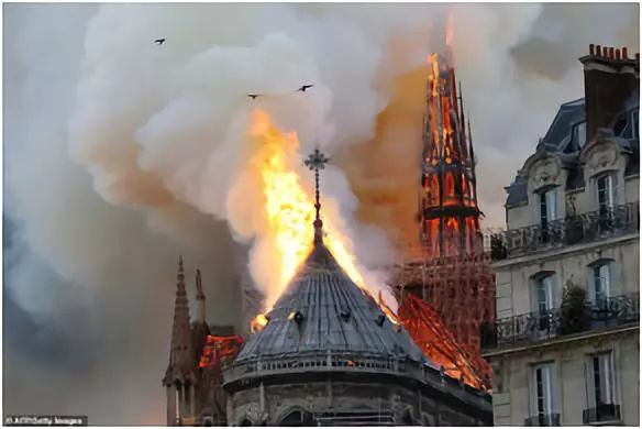 1655811995603854.png d544fcb79b0190015e6dc365b36bb50.png