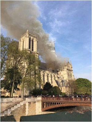 1655812117339371.png 71c381f2c1527f815e478e81f00236d.png