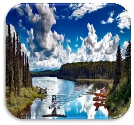 1655812170174857.png 19fb213b81e0ca05559f911cb2ea9c2.png